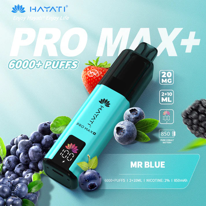 HAYATI PRO MAX+ 6000 PUFFS VAPE KIT
