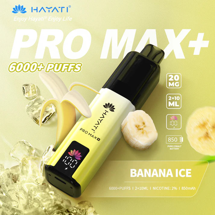 HAYATI PRO MAX+  6000 PUFFS VAPE KIT